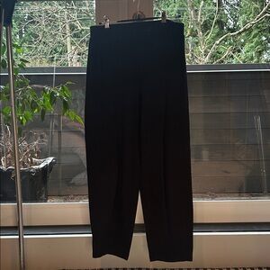 Eileen fisher Cotton Pants NWOT